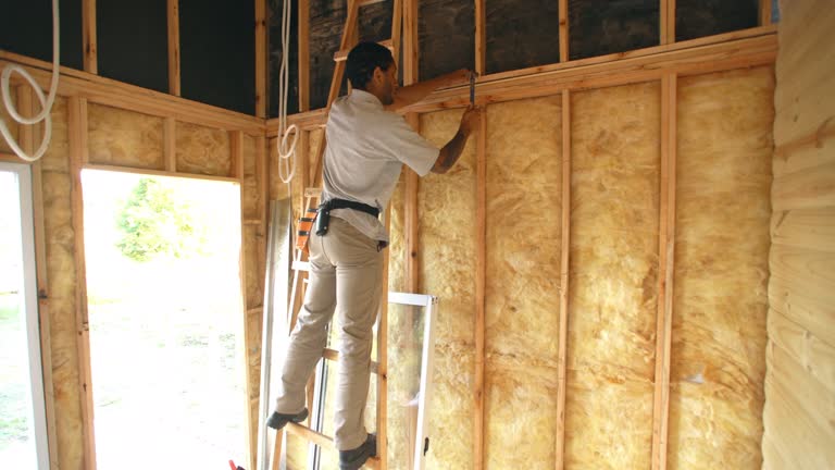 Eco-Friendly or Green Insulation Solutions in Rosemont, PA